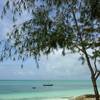 robert.krupinski Podróże Zanzibar - plaża w wiosce Nungwi część 1 39
