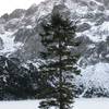 robert.krupinski Podróże Morskie Oko 40