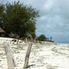 robert.krupinski Podróże Zanzibar - plaża w wiosce Nungwi część 1 34