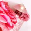 The Merchant of Venice Rosa Moceniga Elixir 14