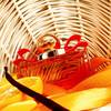 Ferragamo Signorina Unica Eau de Parfum 19