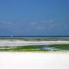 robert.krupinski Podróże Zanzibar - plaża w wiosce Nungwi część 2 22