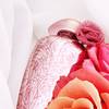 The Merchant of Venice Rosa Moceniga Elixir 23