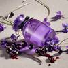 Dolce & Gabbana Dolce Violet 4