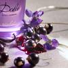 Dolce & Gabbana Dolce Violet 8