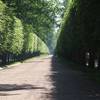 Gracef Podróże Peterhof 12