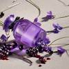 Dolce & Gabbana Dolce Violet 12