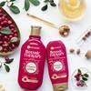 Garnier Botanic Therapy 16