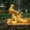 Gracef Podróże Peterhof 8