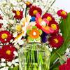 Marc Jacobs Daisy Wild Eau So Intense 11