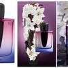 Shiseido Ginza Night Eau de Parfum Intense 7