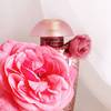 The Merchant of Venice Rosa Moceniga Elixir 8