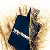 Zadig & Voltaire Just Rock for Him 8