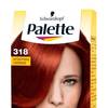 Palette Color Shampoo 4