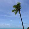 robert.krupinski Podróże Zanzibar - plaża w wiosce Nungwi część 1 5