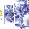 Sisley Velvet Nourishing Cream 4