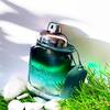 Coach Green Eau de Toilette 4