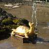 Gracef Podróże Peterhof 7