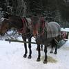 robert.krupinski Podróże Morskie Oko 34