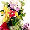 Marc Jacobs Daisy Wild Eau So Extra 17