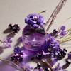 Dolce & Gabbana Dolce Violet 7