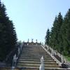 Gracef Podróże Peterhof 26