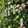 Moët & Chandon Grand Day 4