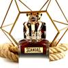 Gaultier Scandal Elixir Parfum Pour Homme 10
