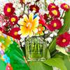 Marc Jacobs Daisy Wild Eau So Intense 5