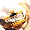 Salvatore Ferragamo Signorina Libera - damski 8