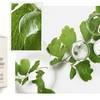 Sisley Paris Ecological Compound Advanced Formula 8