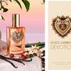 Dolce & Gabbana Devotion Eau de Parfum Intense 1