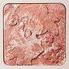 Ulla Johnson x Bobbi Brown 5