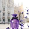 Dolce & Gabbana Dolce Violet 13