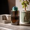Molton Brown - ikona brytyjskiego stylu 28