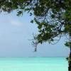 robert.krupinski Podróże Zanzibar - plaża w wiosce Nungwi część 2 17