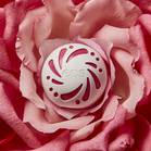 EOS Color Boost Pink Blush 1