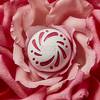 EOS Color Boost Pink Blush 1