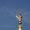 Gracef Podróże Peterhof 31