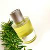 Tom Ford Beau de Jour Eau de Parfum 15