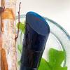 Kenzo Homme Eau de Parfum 12