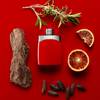 Montblanc Legend Red 5