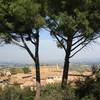 robert.krupinski Podróże San Gimignano - miasteczko w Toskanii 29