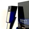 Carolina Herrera Bad Boy Cobalt Absolute 13