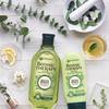 Garnier Botanic Therapy 15