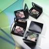 Dior Spring 2015 Kingdom of Colors 4
