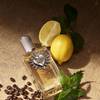 Dolce & Gabbana Devotion for Men 14