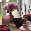 Porcja malin od Aroma Home 6