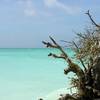 robert.krupinski Podróże Zanzibar - plaża w wiosce Nungwi część 1 8