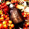 Boss The Scent Absolute 2